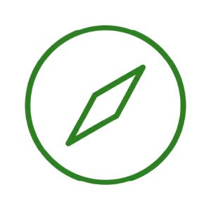 Módulo 2. La brújula del mentor